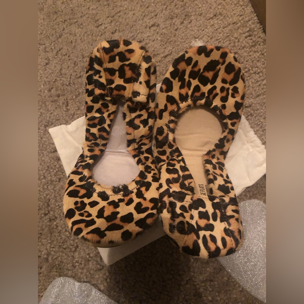 🐆THE STOREHOUSE FLATS WILD SIDE🐆